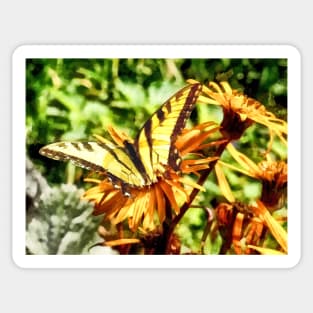 Butterflies - Tiger Swallowtail on Yellow Wildflower Sticker
